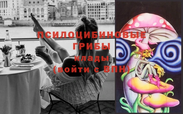 jwh Гусь-Хрустальный