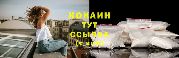 jwh Гусь-Хрустальный