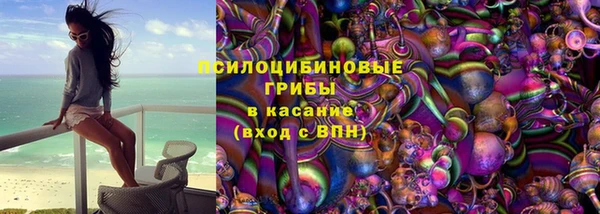 мдма Гусев