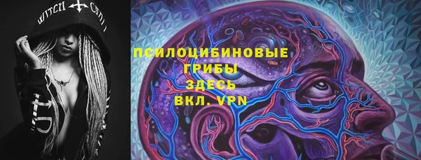 jwh Гусь-Хрустальный