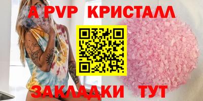 крисы Гагарин