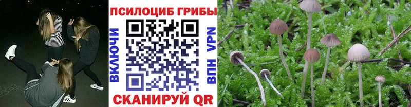 kraken рабочий сайт  Белорецк  Псилоцибиновые грибы Psilocybine cubensis 