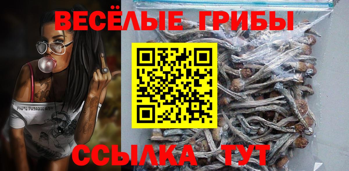 Галлюциногенные грибы GOLDEN TEACHER  Белорецк 