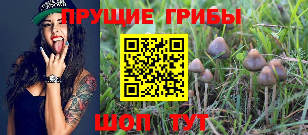 наркотики  Галлюциногенные грибы GOLDEN TEACHER  Вход с VPN  Белорецк  Галлюциногенные грибы ЛСД 