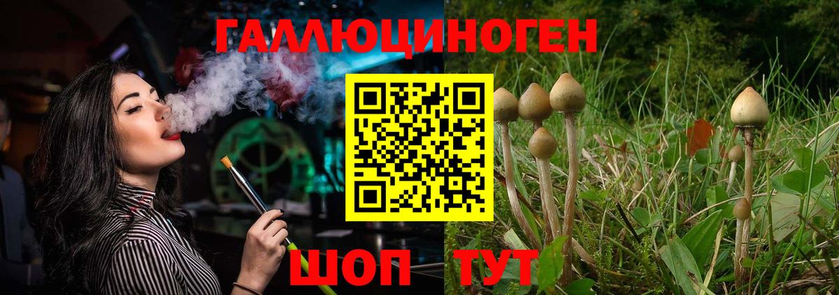 Псилоцибиновые грибы MAGIC MUSHROOMS Белорецк