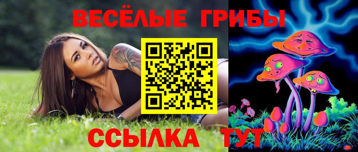 Псилоцибиновые грибы Psilocybe Белорецк